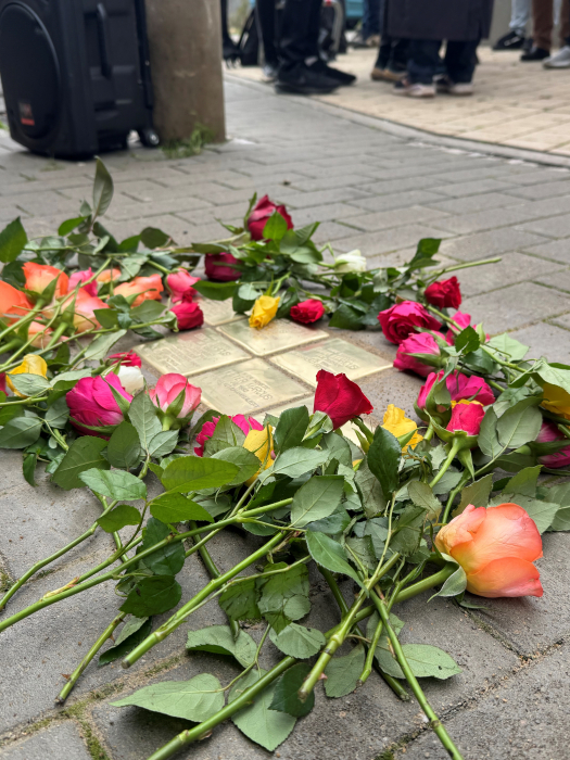stolpersteine_4.jpg stolpersteine_4.jpg
